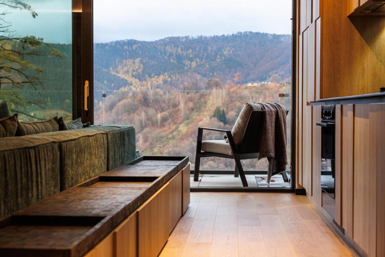 Stejeris Nature-inspired Luxury Apartment Brasov